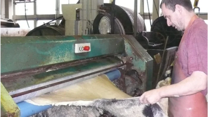VSG – Pelzfelle Entfleischen